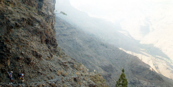 pateos3.jpg